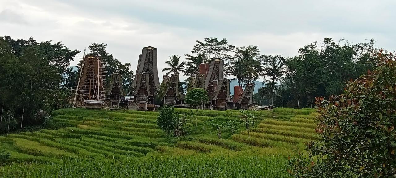 Toraja Bungin Homestay Rantepao Dış mekan fotoğraf